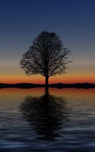 Preview wallpaper tree, lonely, horizon, reflection, sunset, minimalism