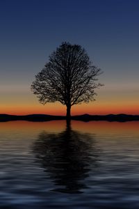 Preview wallpaper tree, lonely, horizon, reflection, sunset, minimalism