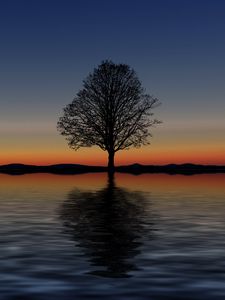 Preview wallpaper tree, lonely, horizon, reflection, sunset, minimalism