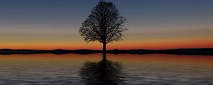 Preview wallpaper tree, lonely, horizon, reflection, sunset, minimalism