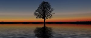 Preview wallpaper tree, lonely, horizon, reflection, sunset, minimalism