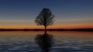 Preview wallpaper tree, lonely, horizon, reflection, sunset, minimalism