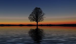 Preview wallpaper tree, lonely, horizon, reflection, sunset, minimalism