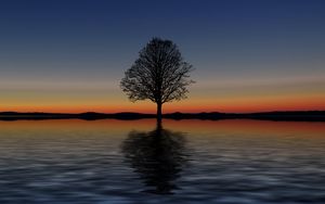 Preview wallpaper tree, lonely, horizon, reflection, sunset, minimalism