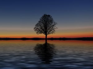 Preview wallpaper tree, lonely, horizon, reflection, sunset, minimalism