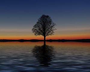 Preview wallpaper tree, lonely, horizon, reflection, sunset, minimalism