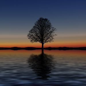 Preview wallpaper tree, lonely, horizon, reflection, sunset, minimalism