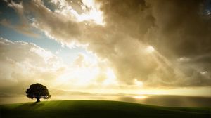 Preview wallpaper tree, lonely, meadow, grass, sky, clouds, light