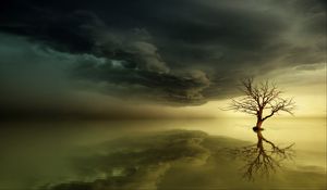 Preview wallpaper tree, lonely, reflection, horizon