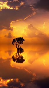 Preview wallpaper tree, lonely, reflection, sea, horizon