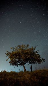 Preview wallpaper tree, man, night, starry sky, dark