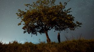 Preview wallpaper tree, man, night, starry sky, dark