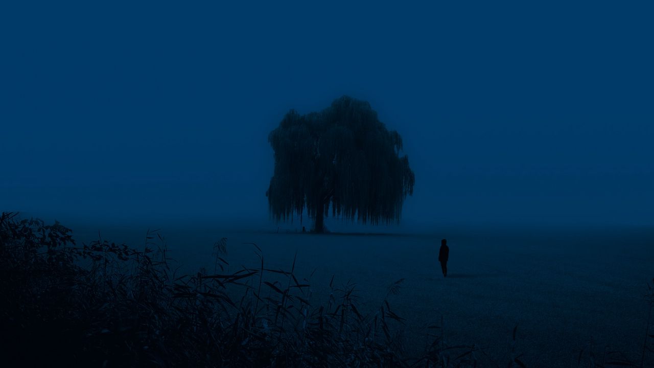 Wallpaper tree, man, silhouette, alone, dusk