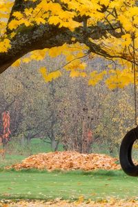 Preview wallpaper tree, maple, autumn, swing, wheel, rope, leaves