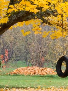 Preview wallpaper tree, maple, autumn, swing, wheel, rope, leaves
