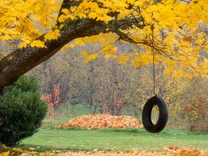 Preview wallpaper tree, maple, autumn, swing, wheel, rope, leaves