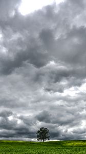 Preview wallpaper tree, meadow, clouds, landscape, nature