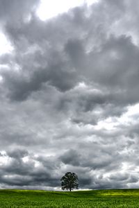 Preview wallpaper tree, meadow, clouds, landscape, nature