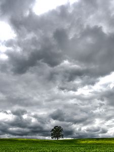 Preview wallpaper tree, meadow, clouds, landscape, nature