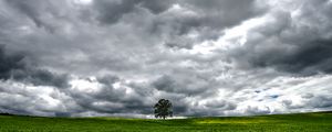 Preview wallpaper tree, meadow, clouds, landscape, nature