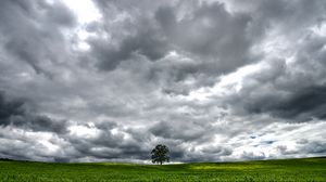Preview wallpaper tree, meadow, clouds, landscape, nature