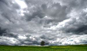 Preview wallpaper tree, meadow, clouds, landscape, nature