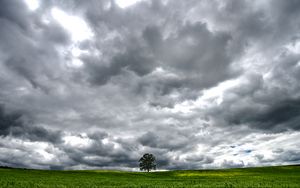 Preview wallpaper tree, meadow, clouds, landscape, nature