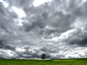 Preview wallpaper tree, meadow, clouds, landscape, nature