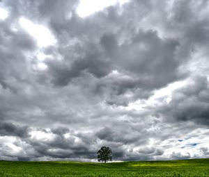 Preview wallpaper tree, meadow, clouds, landscape, nature