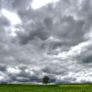 Preview wallpaper tree, meadow, clouds, landscape, nature