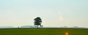 Preview wallpaper tree, meadow, field, sky, grass