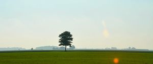 Preview wallpaper tree, meadow, field, sky, grass