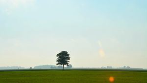 Preview wallpaper tree, meadow, field, sky, grass