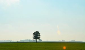 Preview wallpaper tree, meadow, field, sky, grass