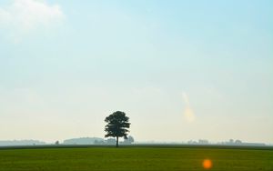 Preview wallpaper tree, meadow, field, sky, grass