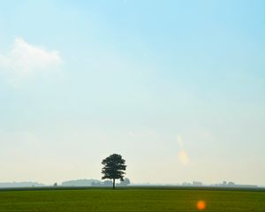 Preview wallpaper tree, meadow, field, sky, grass