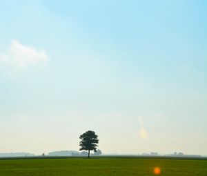 Preview wallpaper tree, meadow, field, sky, grass