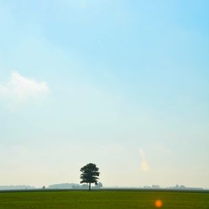 Preview wallpaper tree, meadow, field, sky, grass