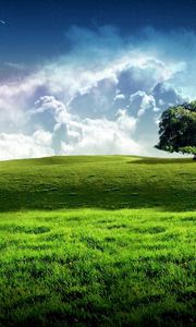 Preview wallpaper tree, meadow, sky, stars, clouds, grass, greens