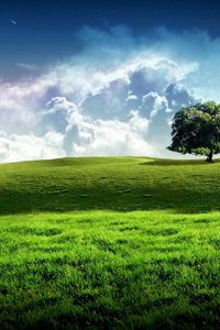 Preview wallpaper tree, meadow, sky, stars, clouds, grass, greens