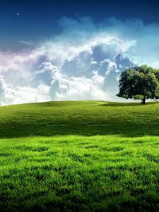 Preview wallpaper tree, meadow, sky, stars, clouds, grass, greens