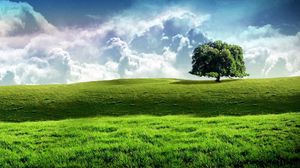 Preview wallpaper tree, meadow, sky, stars, clouds, grass, greens