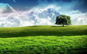 Preview wallpaper tree, meadow, sky, stars, clouds, grass, greens