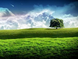 Preview wallpaper tree, meadow, sky, stars, clouds, grass, greens