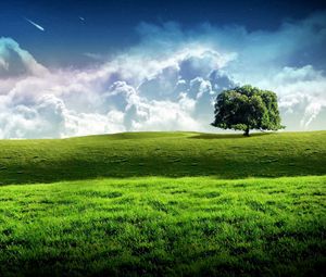 Preview wallpaper tree, meadow, sky, stars, clouds, grass, greens