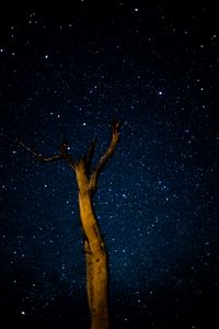 Preview wallpaper tree, milky way, starry sky, stars