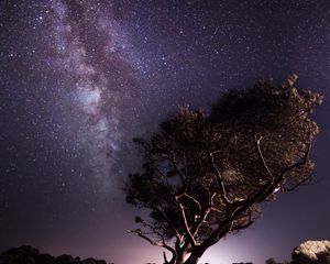 Preview wallpaper tree, milky way, stars, night, dark