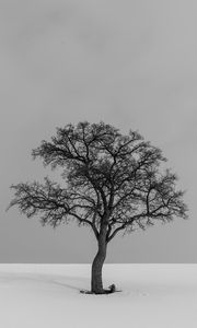 Preview wallpaper tree, minimalism, bw, lonely