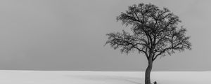 Preview wallpaper tree, minimalism, bw, lonely