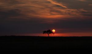 Preview wallpaper tree, moon, horizon, dark, night